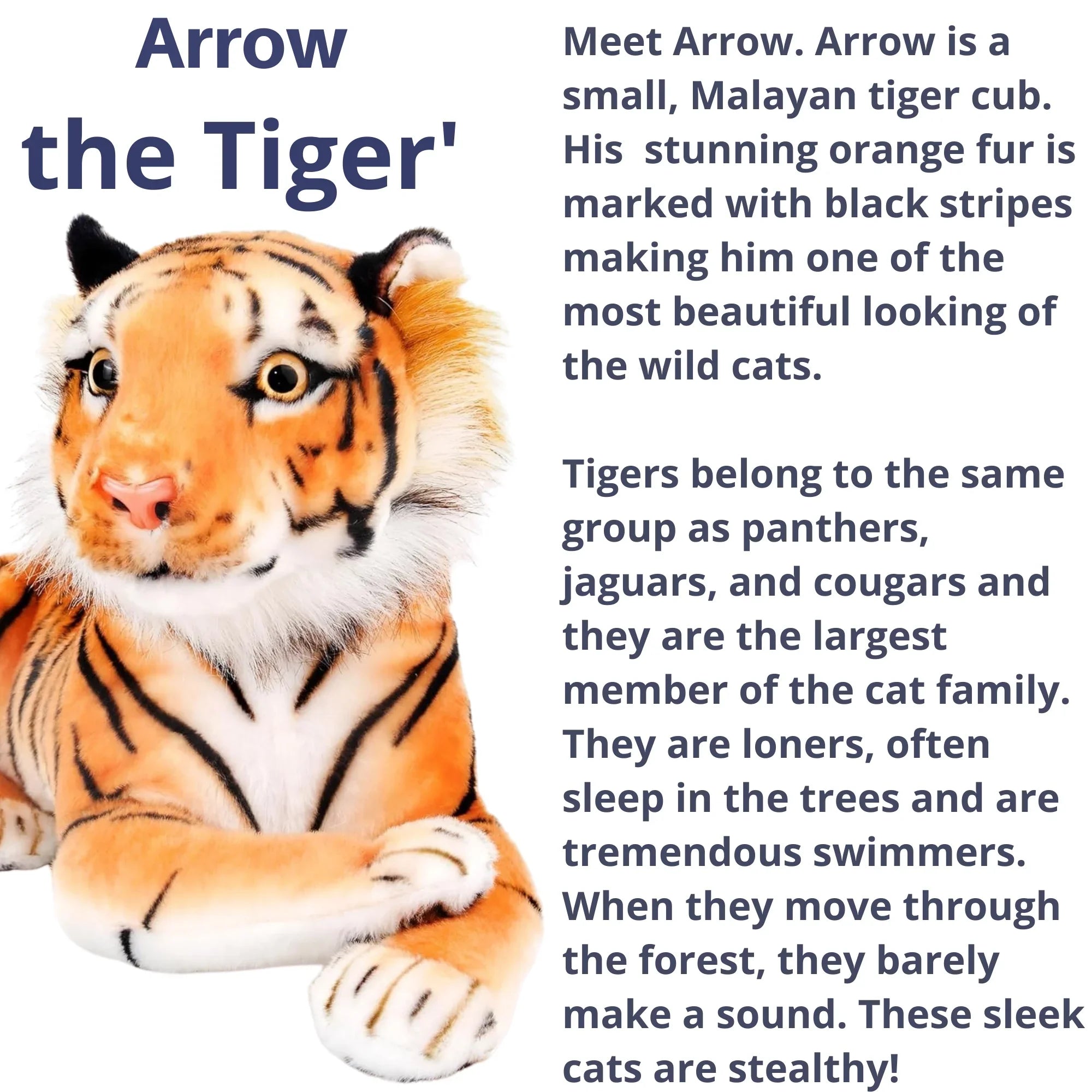 Extra-Large Tiger Plush Stuffed Toy Squeeze Me – 70cm | Soft Stuffed Animal Cushion & Gift (27.5 inches/70 cm) - 4A's Global