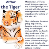 Extra-Large Tiger Plush Stuffed Toy Squeeze Me – 70cm | Soft Stuffed Animal Cushion & Gift (27.5 inches/70 cm) - 4A's Global