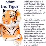 Extra-Large Tiger Plush Toy – Soft 70cm Stuffed Animal - 4A's Global