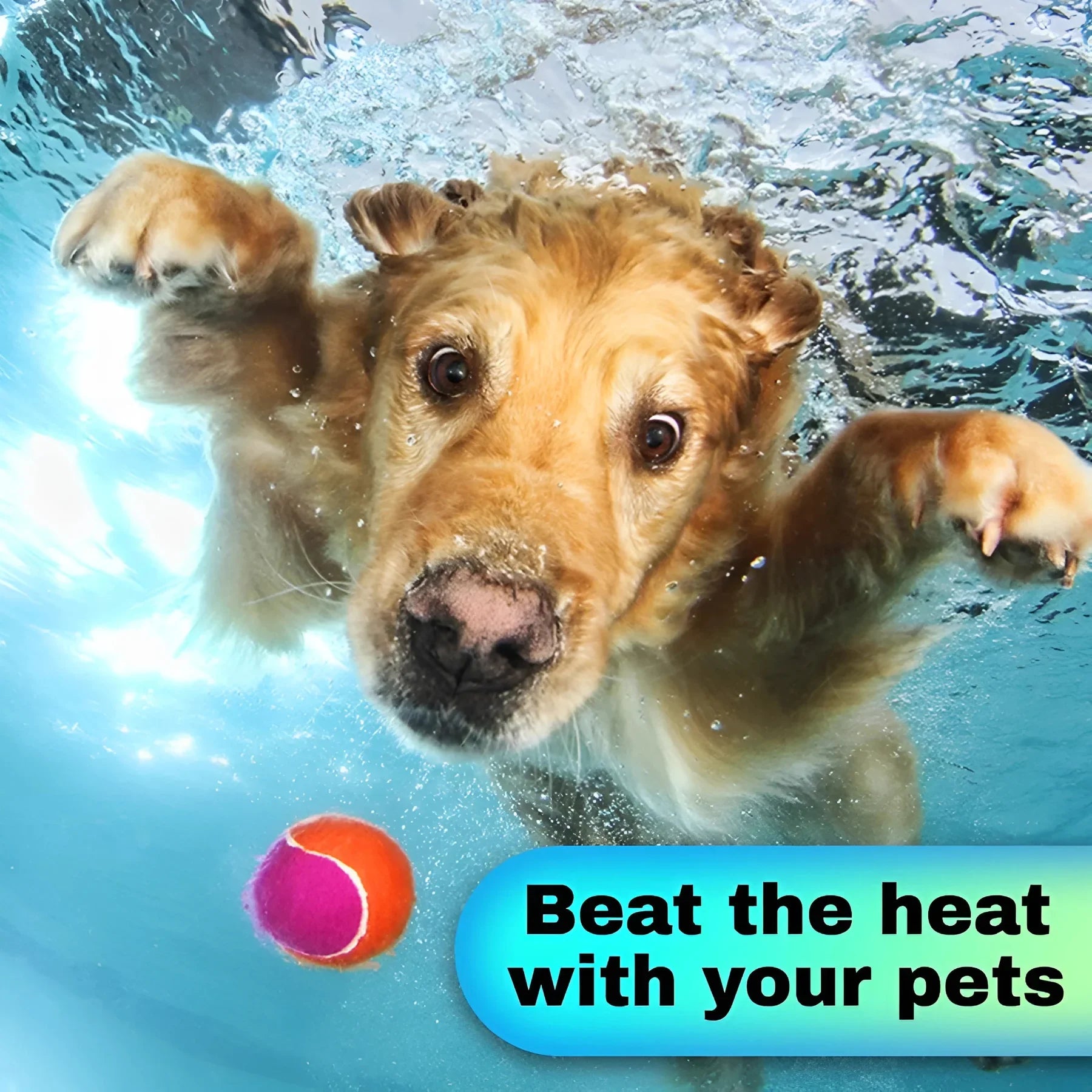 INTEX Inflatable Swimming Pool - Under The Palm Trees Round Snap Set Pool - Multi-Color Beach Theme Design, Bathtub Repair Patch Included - 4A's Global