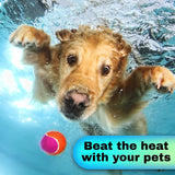 INTEX Inflatable Swimming Pool - Under The Palm Trees Round Snap Set Pool - Multi-Color Beach Theme Design, Bathtub Repair Patch Included - 4A's Global