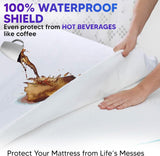 Fully Zippered Waterproof Mattress Protector Encasement – Bed Bug Proof, Anti-Allergy &amp; Deep Fit - 4A's Global