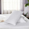 Zippered Waterproof Pillow Protector Case – Bed Bug &amp; Dust Mite Proof 4A's Global