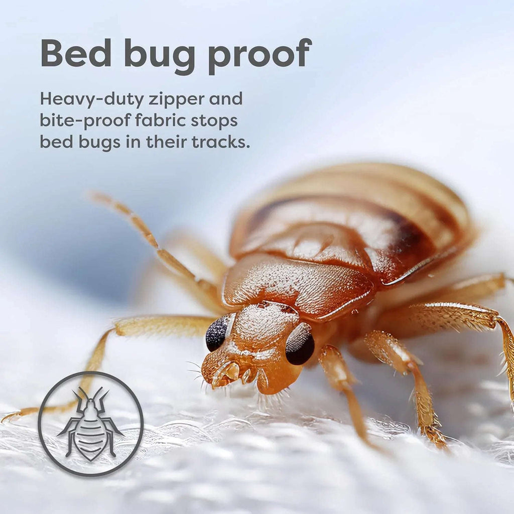 Fully Zippered Waterproof Mattress Protector Encasement – Bed Bug Proof, Anti-Allergy &amp; Deep Fit - 4A's Global