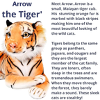 Extra-Large Tiger Plush Toy – Soft 70cm Stuffed Animal - 4A's Global