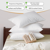 Luxury Goose Feather &amp; Down Pillows – Hotel Quality Comfort &amp; Support | 48 x 74 cm (19" x 29") - 4A's Global