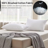 Luxury Goose Feather &amp; Down Pillows – Hotel Quality Comfort &amp; Support | 48 x 74 cm (19" x 29") - 4A's Global