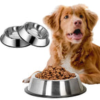 Dog with a metal food bowl full of kibble and two additional metal bowls on a white background