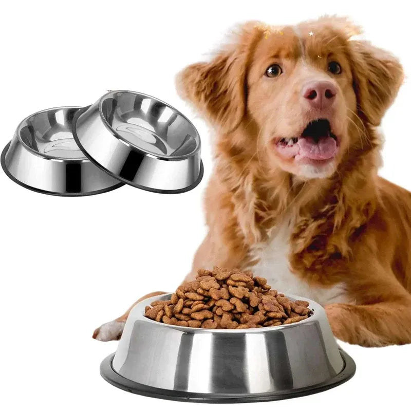 Dog with a metal food bowl full of kibble and two additional metal bowls on a white background