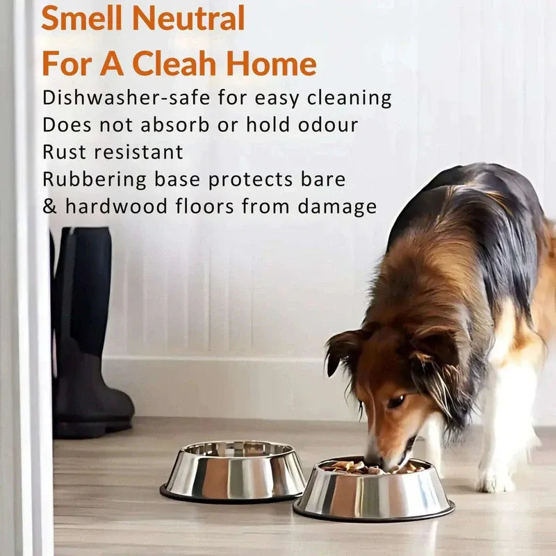 Dog eating from a metal bowl on a wooden floor with text about dishwasher-safe cleaning solution.