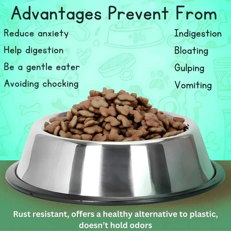 Stainless steel dog bowl with pet food on a green background with text about advantages of using a stainless steel bowl.