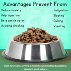 Stainless steel dog bowl with pet food on a green background with text about advantages of using a stainless steel bowl.