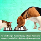 Dog and cat eating from metal bowls with a green background and text about no-slip design.
