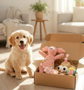 The Pampered Pet Luxury Mystery Box - 4A's Global